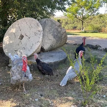 El Vihuelo מלון אל בוסקה