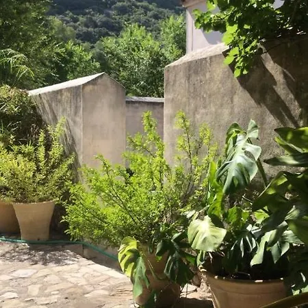El Vihuelo El Bosque (Cadiz)