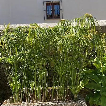 Hotel El Vihuelo