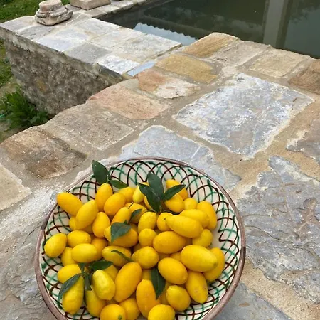 El Vihuelo 3* אל בוסקה