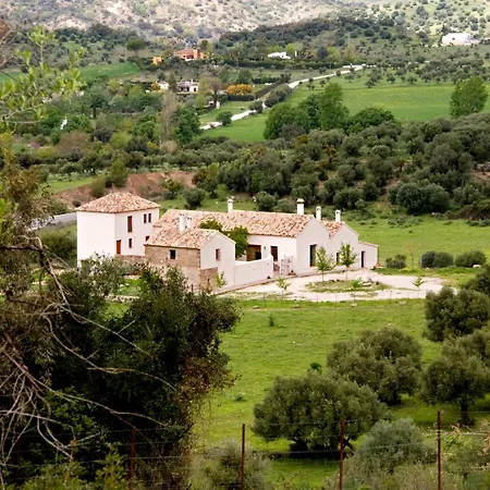 El Vihuelo El Bosque (Cadiz)