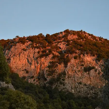 El Vihuelo