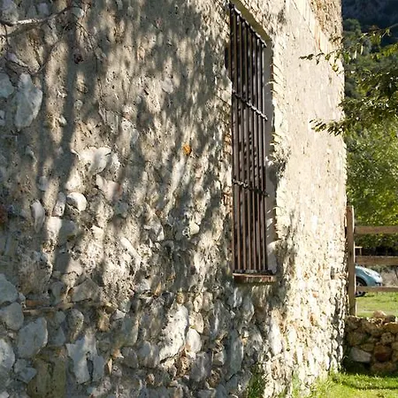El Vihuelo