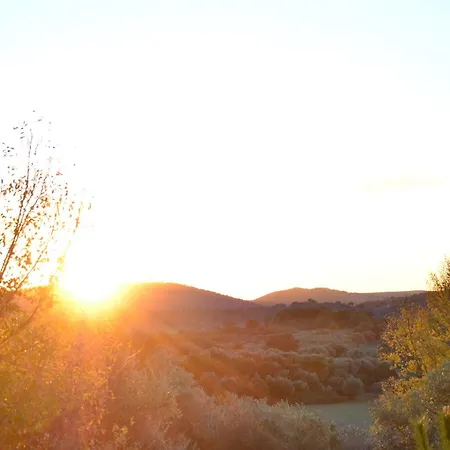 El Vihuelo El Bosque (Cadiz)